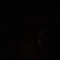 Z- she said(prod.sogimura)