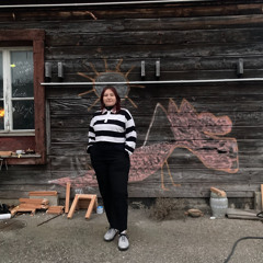 Stellab - Radio Bollwerk - 01.02.2025