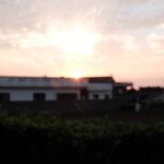 A Ray of Sunlight