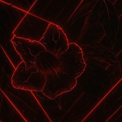 Null Void's Amber Vizion$