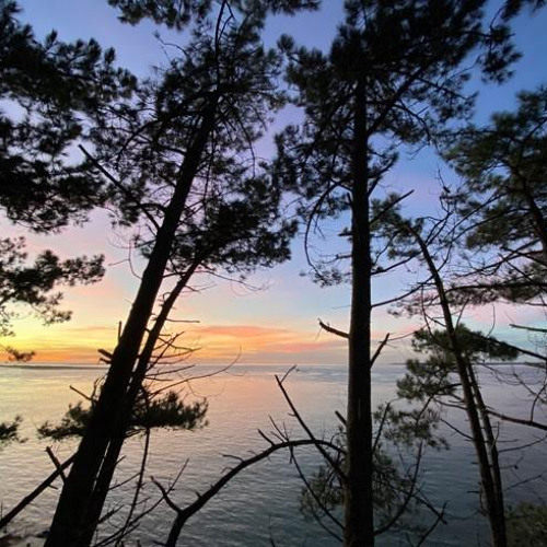 long speech, no meaning