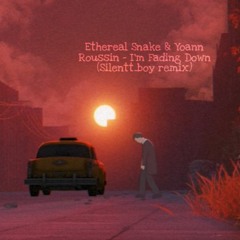 Ethereal Snake & Yoann Roussin - I'm Fading Down (Silentt_boy remix)