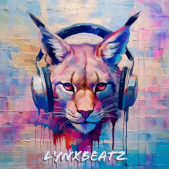 LynxBeatz - Afterwork Mix 1