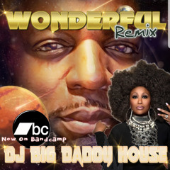 WONDERFUL (DADDY'S TOUCH REMIX)