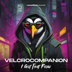 I Got That Flow (VelcroCompanion Original)