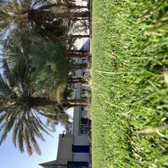 اذا تطلب مني عمري ؟