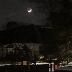 moonlight