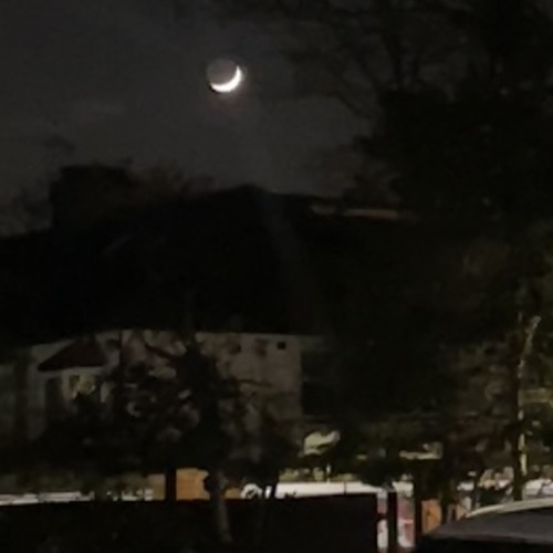 moonlight