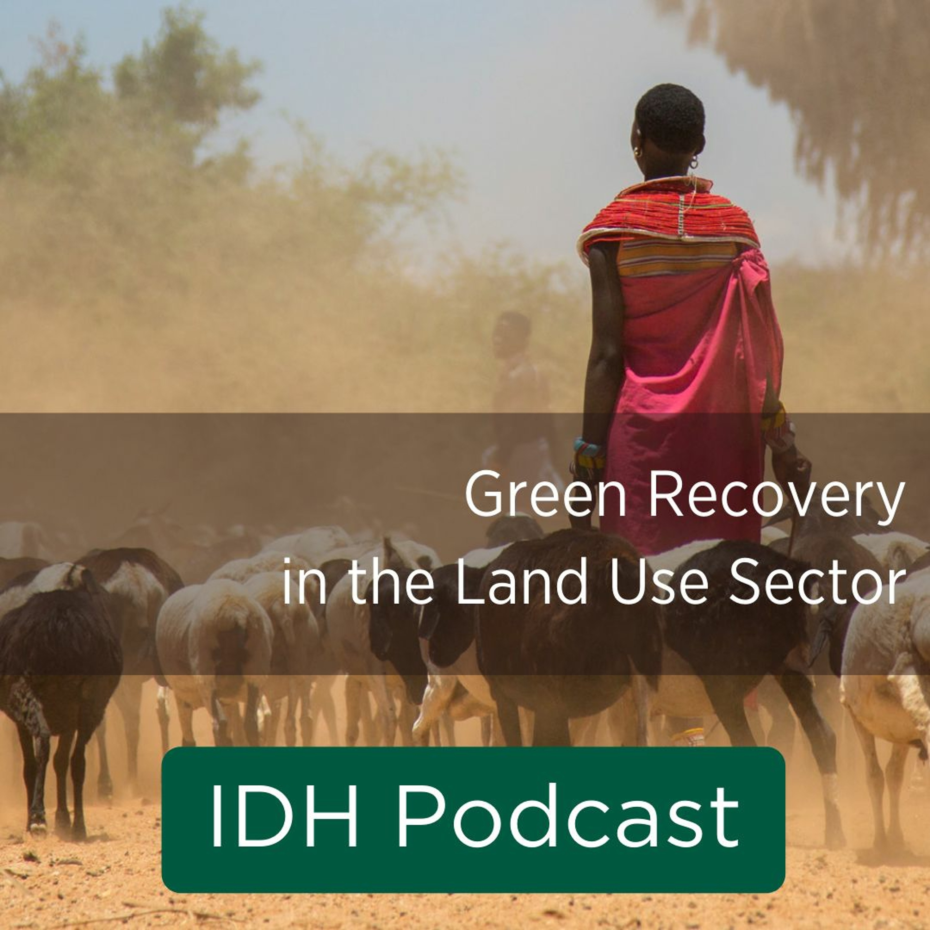 IDH Podcasts