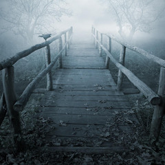 Sorrow