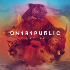OneRepublic - Counting Stars(Zack Knight Remix)