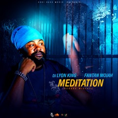 DJ LYON KING - FANTAN MOJAH MEDITATION MIXTAPE [Reggae mix ] (2023)