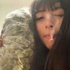 Zootiez Puffin V4 07/26.wav