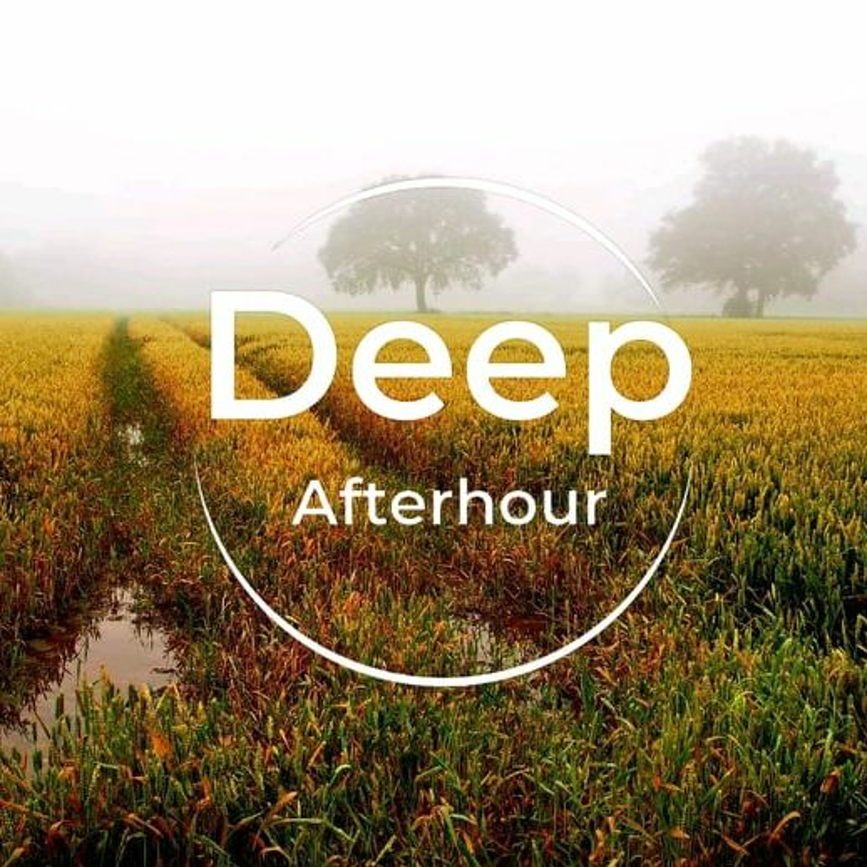 Deep Afterhour