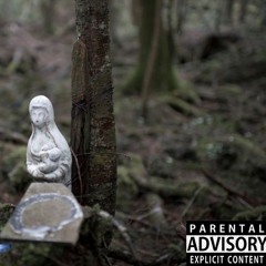Lost Amid Aokigahara