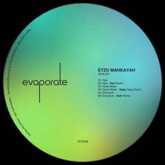 Etzu Mahkayah - Apis EP (Incl. Raz, Gaap & Hish Remixes) [ZFD006]