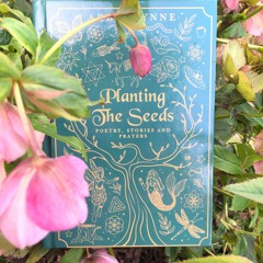 Prince Sannu - a Fairy Tale from Planting the Seeds