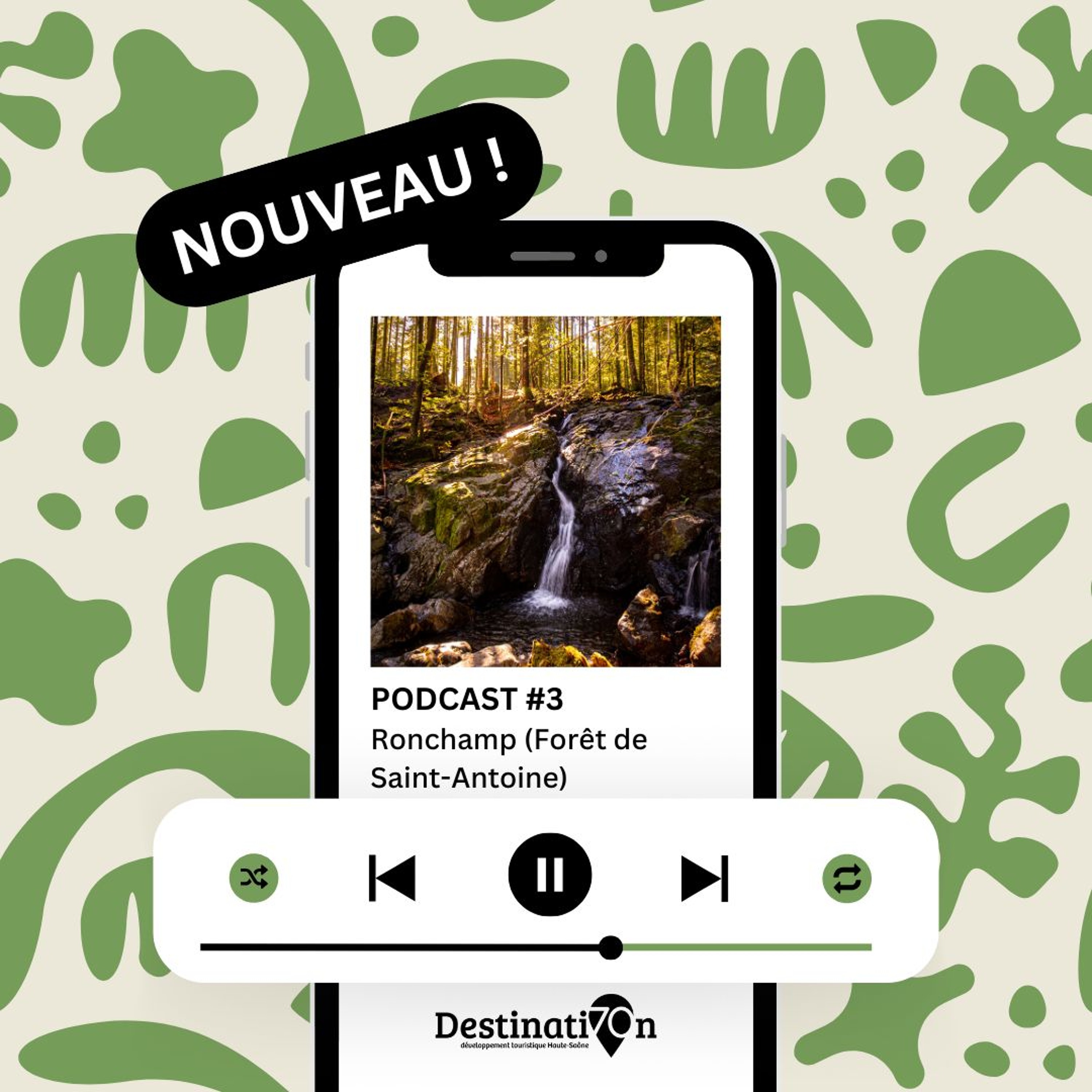 A l’écoute de la nature dans la forêt de Saint-Antoine