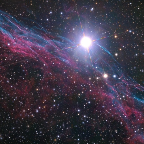 The Disko Starz - Need Your Touch