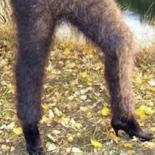 LADA [Я۶۶R۳۳[][][]