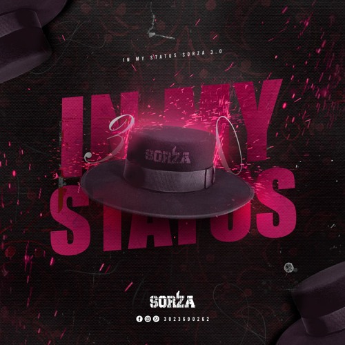 IN MY STATUS 3.0 (Mixed by Sorza)