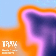 NHM Mix: Melodic // Club