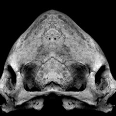 THE GATEWAY PART TWO