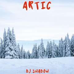 DJ SHADOW-ARTIC