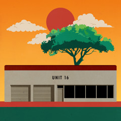 Unit 16 (Edit)