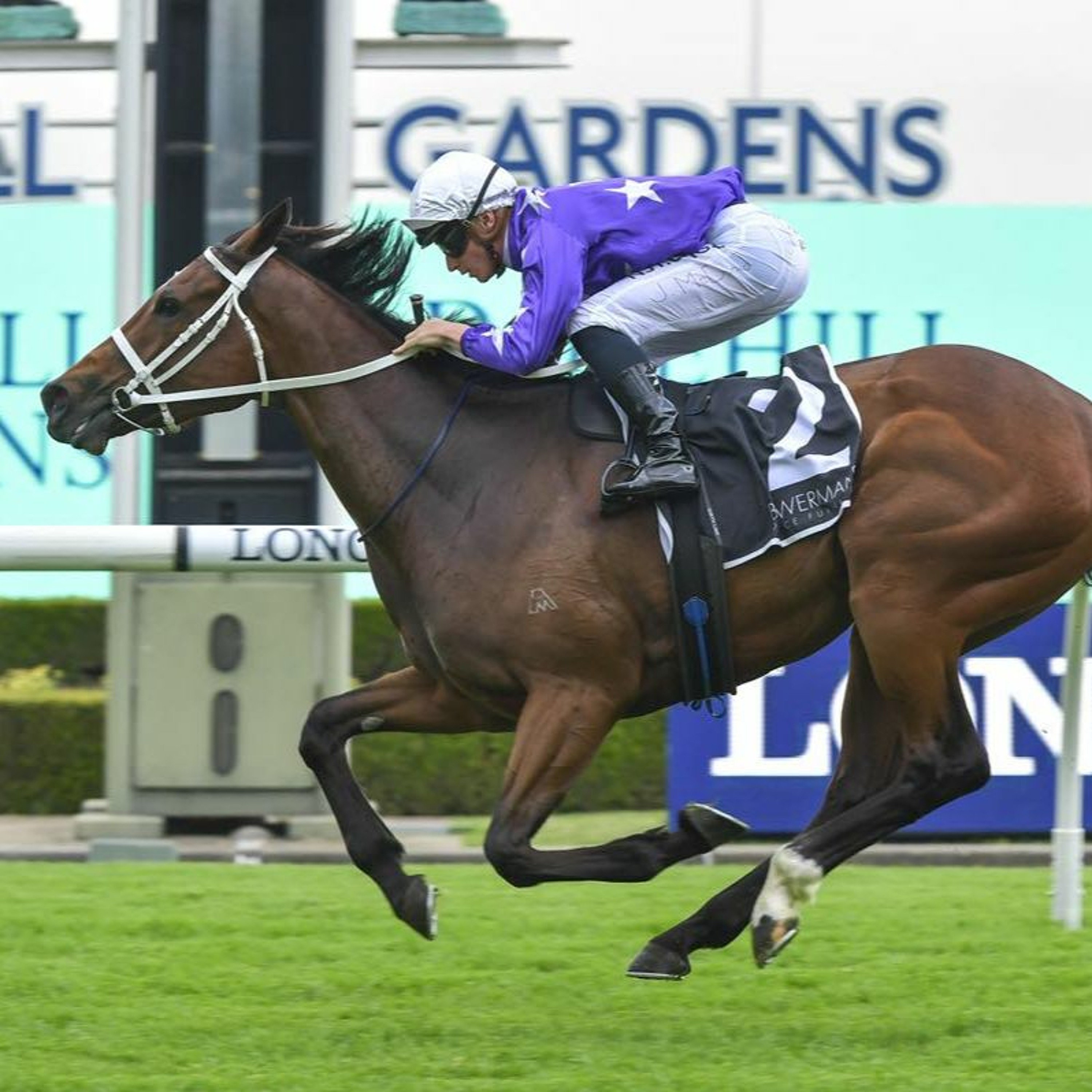 Rosehill 5th Of December Punting Preview