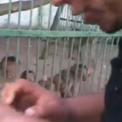 500 evra telefono.mp3