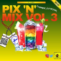 PIX N MIX VOL 3 SUMMER STARTER #PURE ENERGY MULTI-GENRE