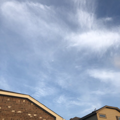 rêverie - final draft 2