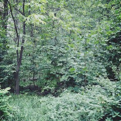 "ДО БОЛИ" (prod. babymontana375 x yazapomnil)