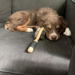 Waitin' For The Sunshine