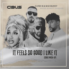 It feels so good I like it (CIBUS VIP Mash-Edit)