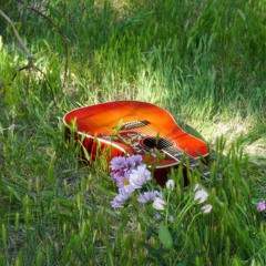 The Photographer (acoustic)