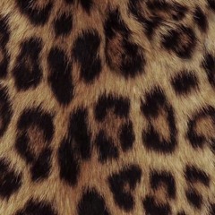 lambtruck prod orpheus mi.ntyyy