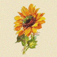 Sunflower (JOUDE Remix)