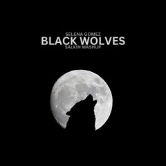 Black Switch x Wolves (Salkin Mashup) - Selena Gomez, Salkin, Zoom.Like