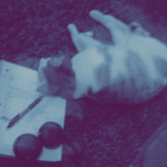 Amphetamines (prod. Nekoi)