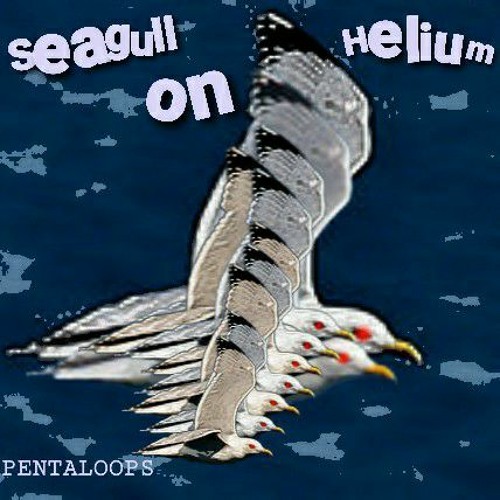 Seagull on helium/ PENTALOOPS