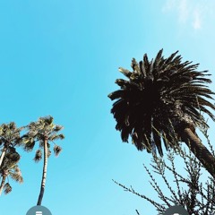the summer ends