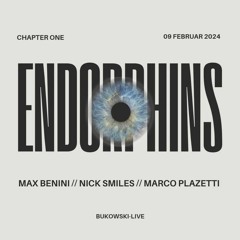 Max Benini Live @ Bukowski, Heilbronn - Endorphins Closing