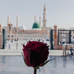 هل من يُبشِّرُني؟