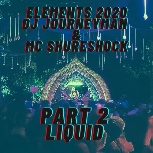 Elements 2020 DJ Journeyman And MC Shureshock Part 2 Liquid