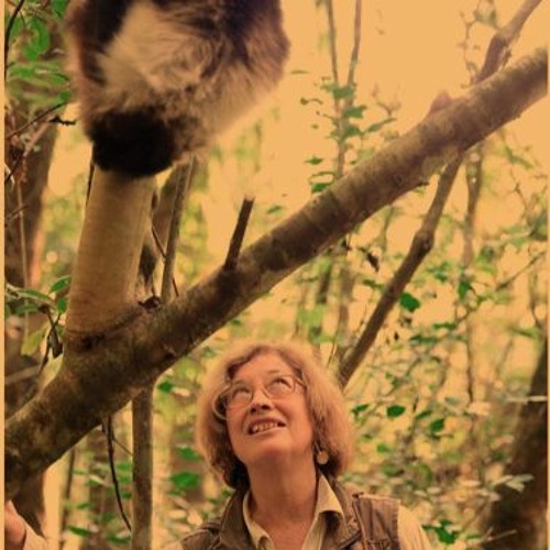 SoS 134- Excerpt from For the Love of Lemurs with Dr. Patricia Wright