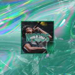 Wheezy x Lil Baby x Gunna x Lil Keed 2020 Type Beat "WOODS" (prod. by svngx)