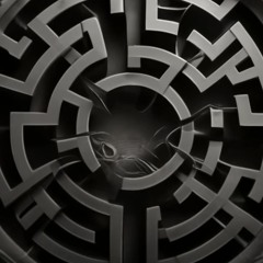 Techno Sensory - Extract Mix