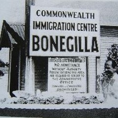 Bonegilla Reflections Series 1 Episode 1 Pilot